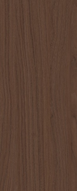 North American Walnut
